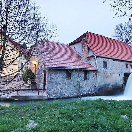 Moara De Piatra Otel Carta  Dış mekan fotoğraf