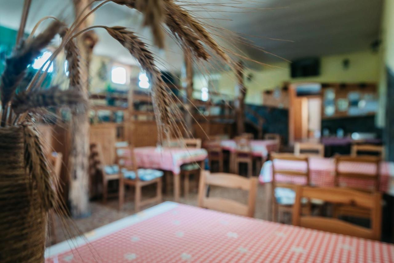 Moara De Piatra Otel Carta  Dış mekan fotoğraf