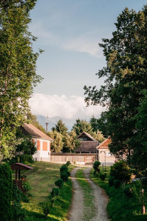 Moara De Piatra Otel Carta  Dış mekan fotoğraf