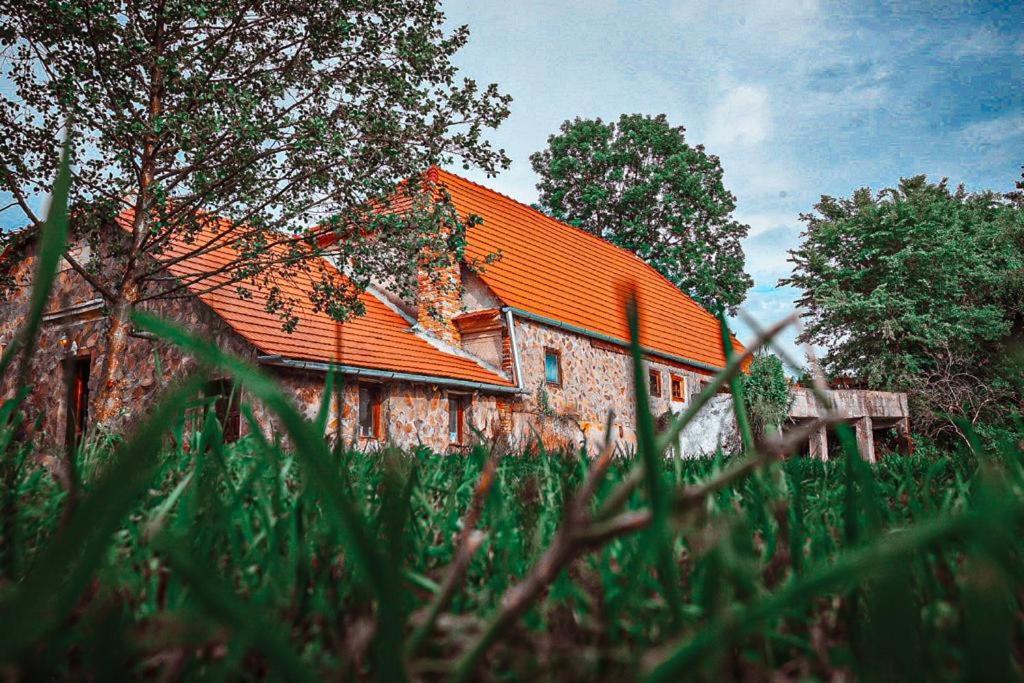 Moara De Piatra Otel Carta  Dış mekan fotoğraf
