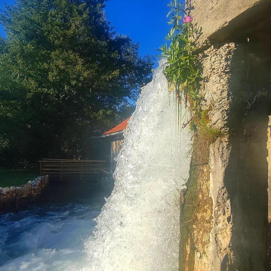 Moara De Piatra Otel Carta  Dış mekan fotoğraf